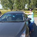 ���� ����, ������������, 41 ��� - ��������� 29 ������� 2017 � ������ ���� ����������