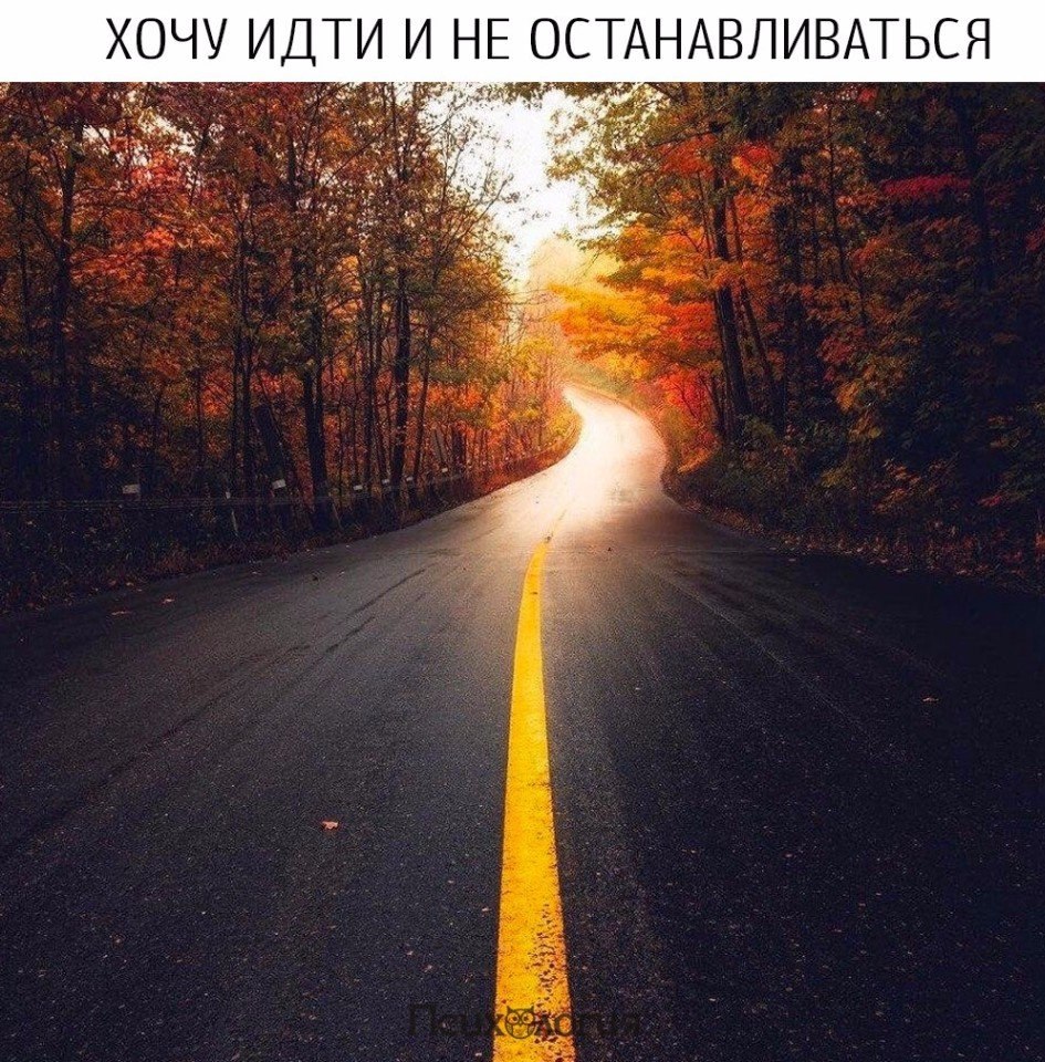  - 19  2017  09:52