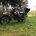 ���� ������, �����-���������, 52 ���� - ��������� 17 ��� 2017