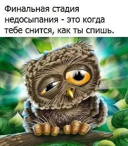      - 13  2017  07:12