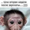 ���� �����, ������ - ��������� 26 �������� 2017 � ������ ������ ��������