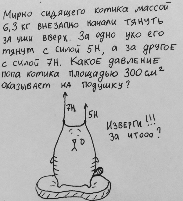           - 6
