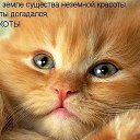 ���� �����, �����, 47 ��� - ��������� 27 ���� 2017 � ������ ������ ��������