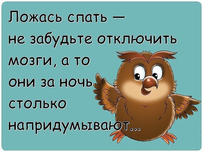   . , ,     :))) - 2