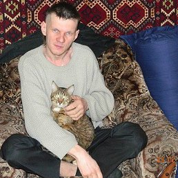 �����, ���������, 44 ����