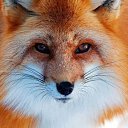 ���� ���� �������, ������, 70 ��� - ��������� 14 ������ 2017 � ������ ���� ����������