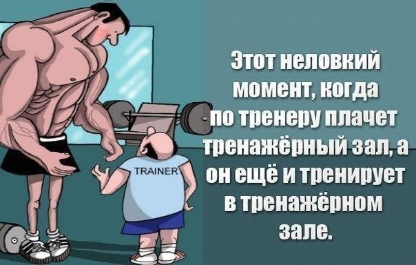 SportFeed - 28  2017  12:25