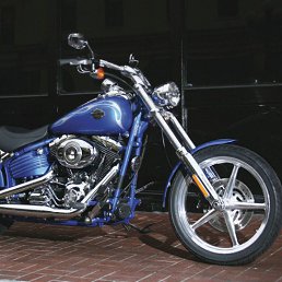 �����, �����-�������, 49 ���