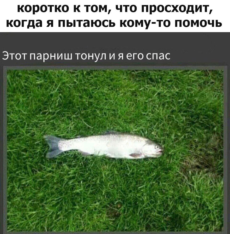    :D - 9  2017  22:06