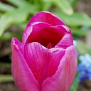 ��� 2017 �� ������� ���� ����������� (!) ��������)�