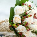 ���� �������, �����-��������� - ��������� 14 ������ 2017 � ������ ������ ��������