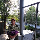 ���� ��������, �����������, 53 ���� - ��������� 1 ������� 2017 � ������ ���� ����������