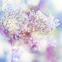 ���� �������, �����������, 62 ���� - ��������� 23 �������� 2017 � ������ ���� ����������