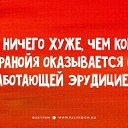 ���� ��������, ������, 48 ��� - ��������� 13 �������� 2017 � ������ ���� ����������