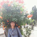 ���� �����, ���������, 57 ��� - ��������� 14 ���� 2017 � ������ ���� ����������