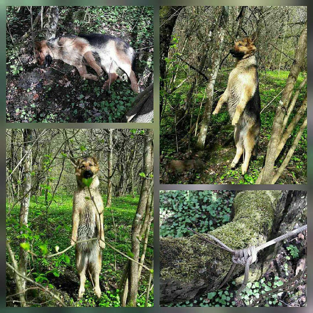  , 16 ,  ,     ,    ...