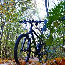 ���� ��������, ����, 39 ��� - ��������� 28 ������� 2017 � ������ ������ ��������