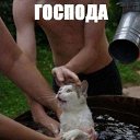 ���� Sti, ����-���, 43 ���� - ��������� 22 ��� 2017 � ������ ������ ��������