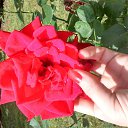 ���� ��� ��, �����������, 39 ��� - ��������� 9 ������� 2017 � ������ ���� ����������