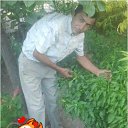  Abdula, , 60  -  19  2017    