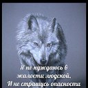���� Andrei, ������ ��������, 44 ���� - ��������� 30 ���� 2017 � ������ ���� ����������
