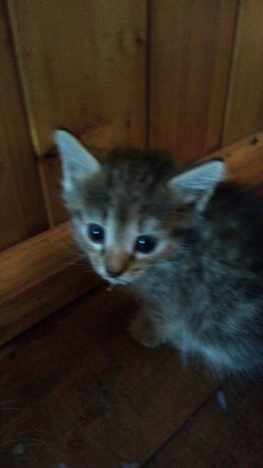 #_.          ,    ...