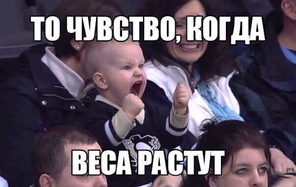SportFeed - 18  2017  15:42