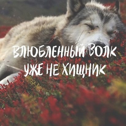  - 7  2017  08:23
