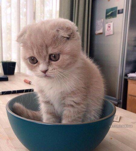 Оставь меня, работа, я в печали... Приди ко мне, зарплата, я скучаю!