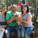 ���� �������, �����������, 53 ���� - ��������� 1 ��� 2017 � ������ ������ ��������