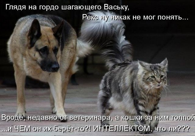   .     ))) - 13
