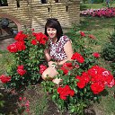 ���� �, �����, 37 ��� - ��������� 26 ���� 2017 � ������ ���� ����������