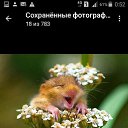 ���� ���, ������ - ��������� 10 ���� 2017 � ������ ���� ����������
