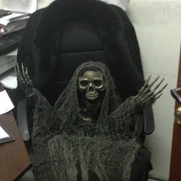 ���� ����, ������, 41 ��� - ��������� 16 ������ 2017