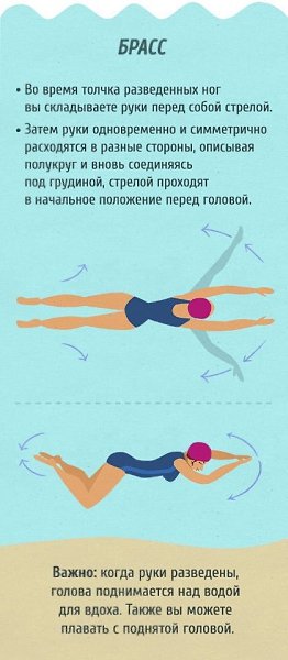 Полный гид для тех, кто хочет научиться плавать как рыба в воде .Смотрим, запоминаем, практикуем - 7