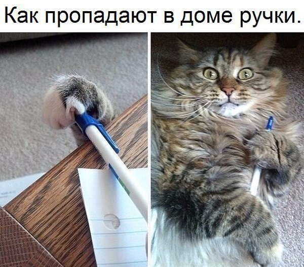  - 20  2017  22:30