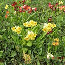 ���� ���������, ������, 66 ��� - ��������� 4 ��� 2017 � ������ ������ ��������