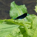 9.06.2017 �� ������� �� ��� - ��������!!!)))�