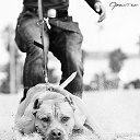 ���� �����, ������ - ��������� 7 ���� 2017 � ������ ������ ��������