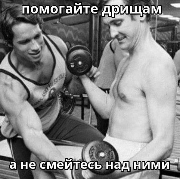 SportFeed - 28  2017  23:13