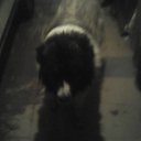 ���� ������, ������ ��������, 61 ��� - ��������� 1 ������ 2017 � ������ ���� ����������