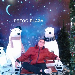 ���� ����, �����-���������, 36 ��� - ��������� 26 ��� 2017