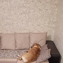 ���� ������, ������, 49 ��� - ��������� 16 ���� 2017 � ������ ���� ����������