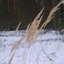  ,  -  30  2017    