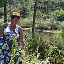 ���� �������, ������ - ��������� 2 �������� 2017 � ������ ���� ����������