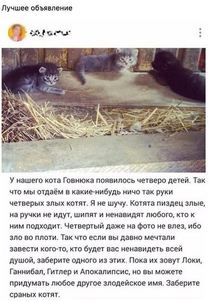 ������ - �����, ���� - 13 ���� 2017 � 11:52