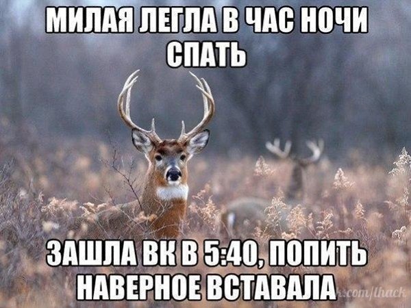   - 12  2017  23:31