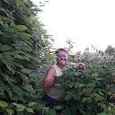 ���� �����, ������, 52 ���� - ��������� 26 ������� 2017 � ������ ���� ����������