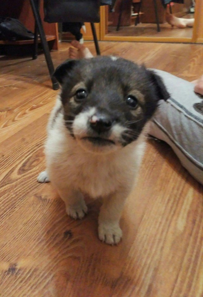 ..  !!!         .   ... - 2