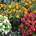 ���� �������, �����, 60 ��� - ��������� 17 ������� 2017 � ������ ���� �����